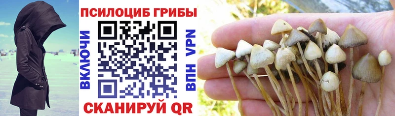 продажа наркотиков Лаишево Галлюциногенные грибы MAGIC MUSHROOMS